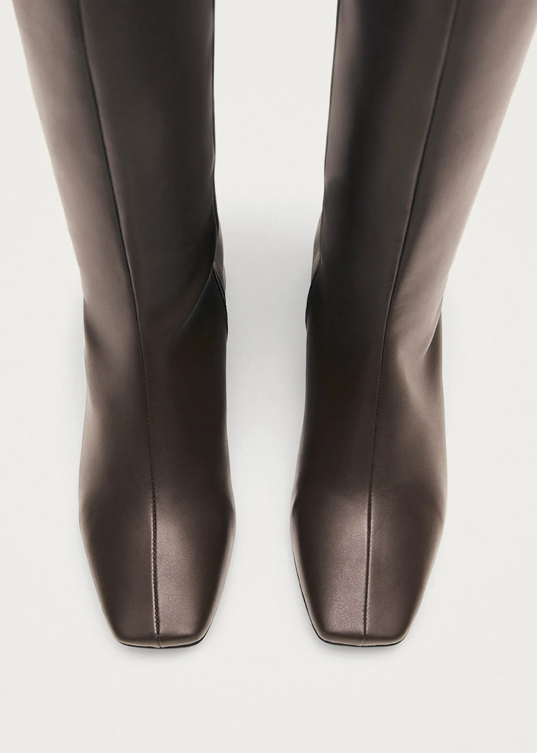 Chalk Umber Brown