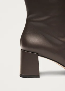 Chalk Umber Brown